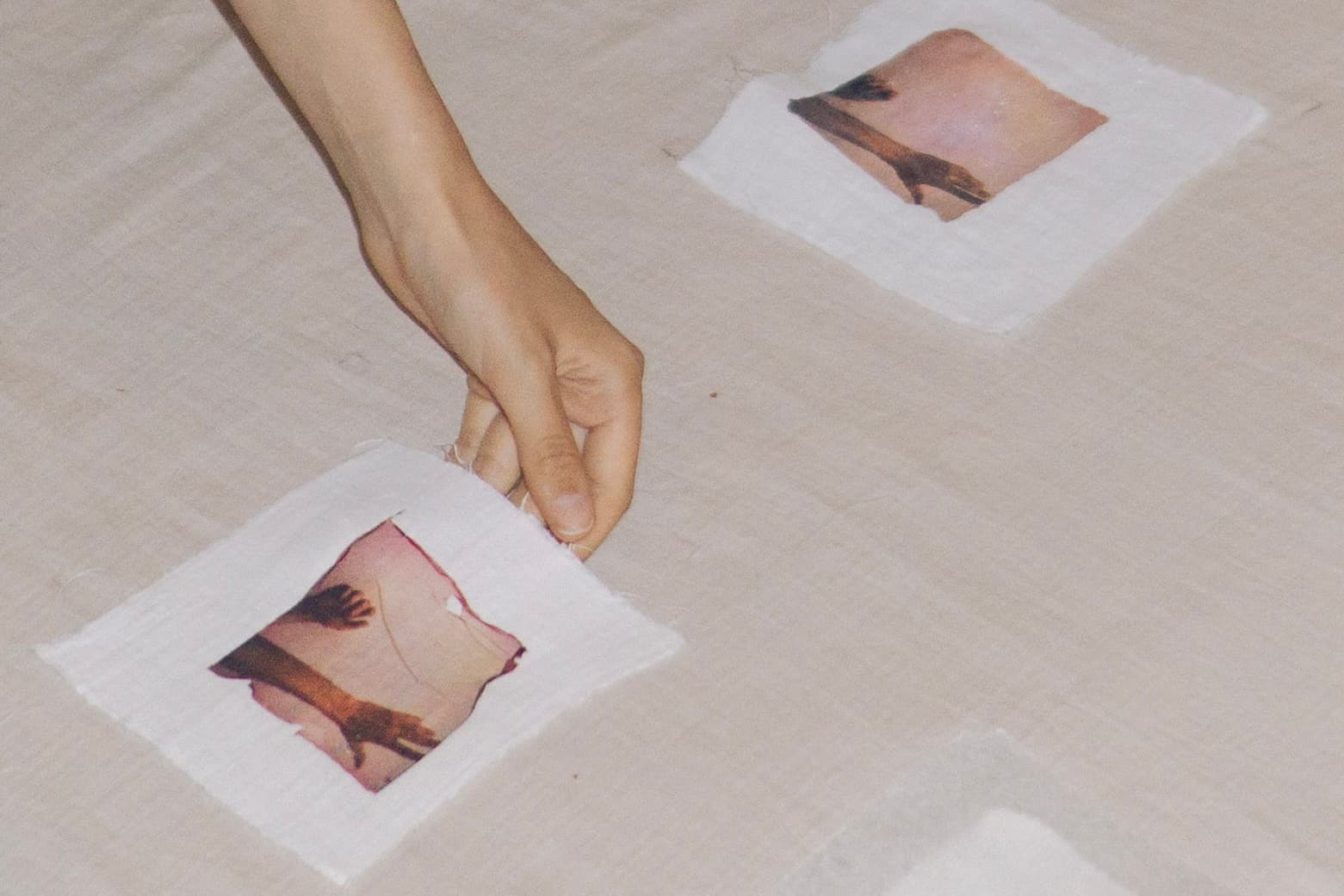 poloroid emulsion