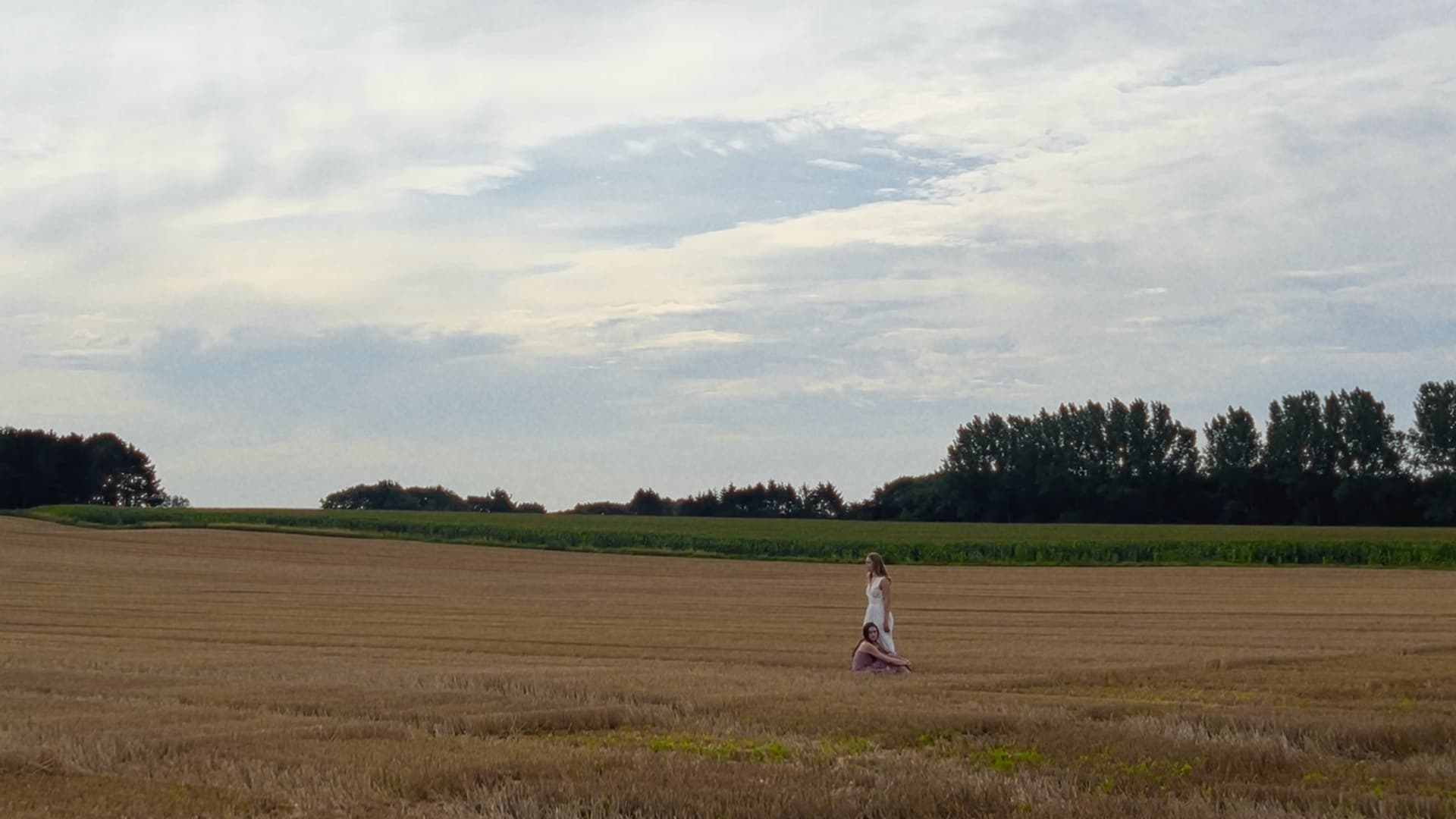 Together in Cut feild