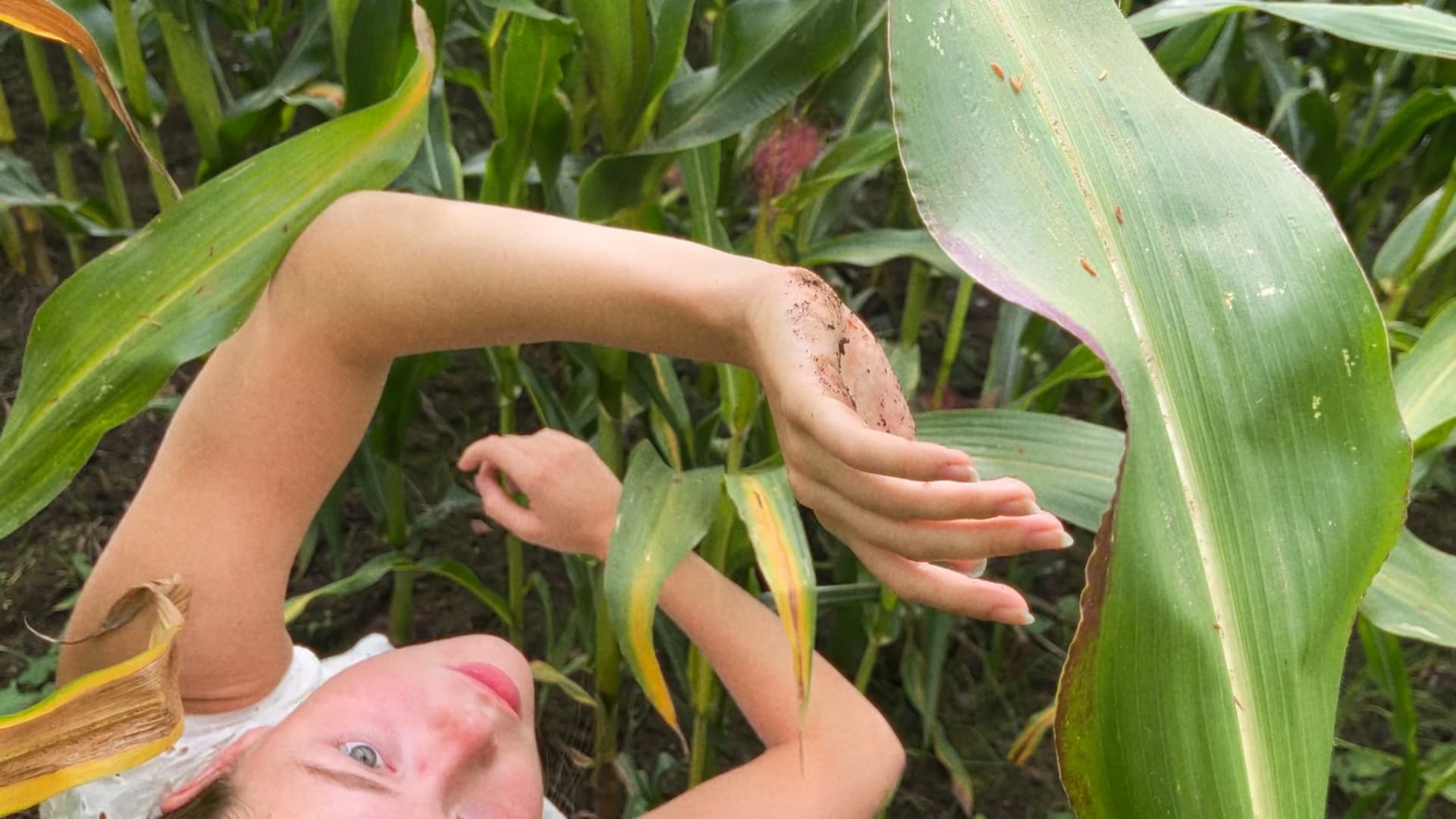 emily with corn green